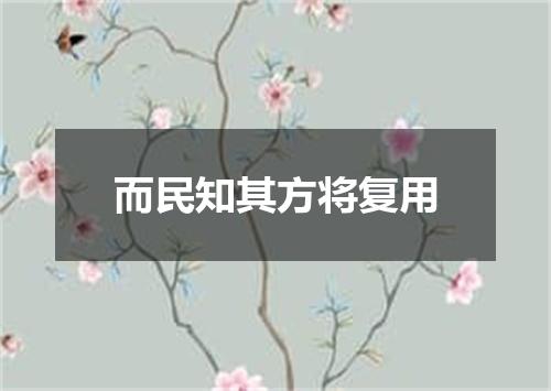 而民知其方将复用