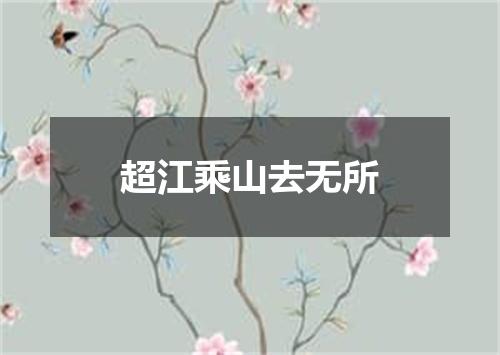 超江乘山去无所