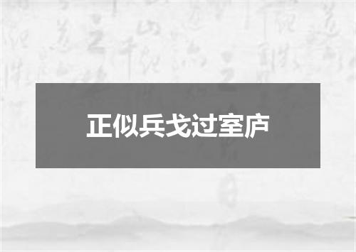 正似兵戈过室庐