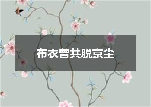 布衣曾共脱京尘