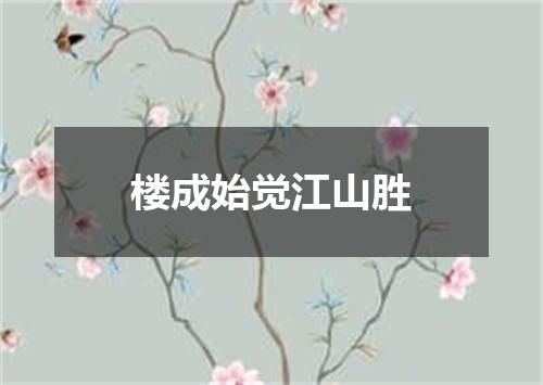 楼成始觉江山胜