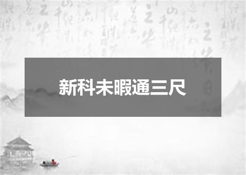 新科未暇通三尺