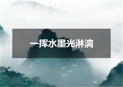 一挥水墨光淋漓