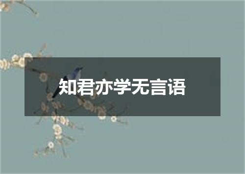 知君亦学无言语