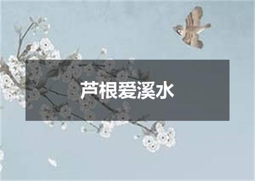 芦根爱溪水