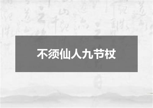 不须仙人九节杖