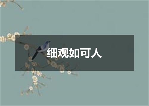 细观如可人