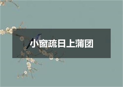 小窗疏日上蒲团