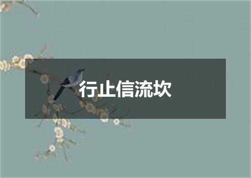 行止信流坎