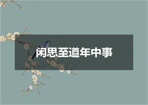 闲思至道年中事