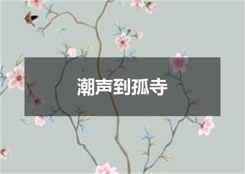 潮声到孤寺