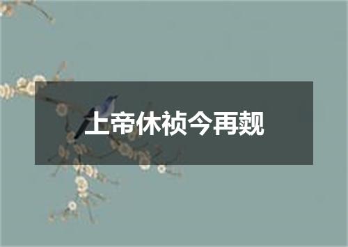 上帝休祯今再觌