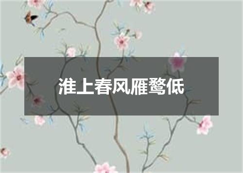 淮上春风雁鹜低