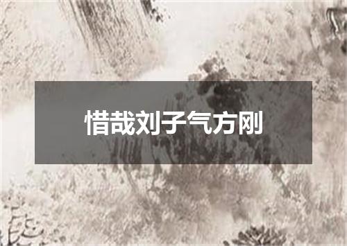 惜哉刘子气方刚