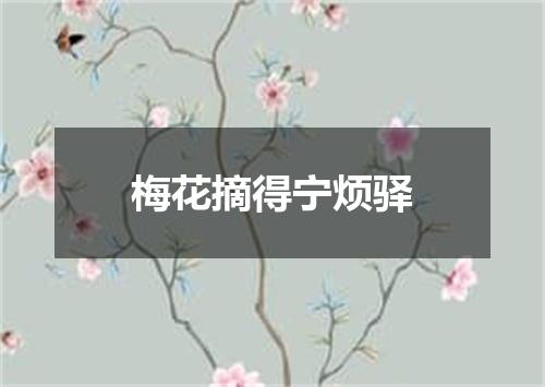 梅花摘得宁烦驿