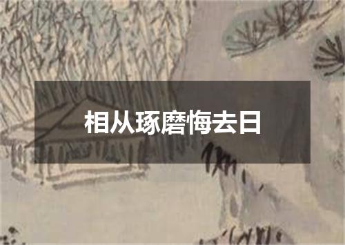 相从琢磨悔去日