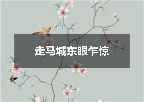 走马城东眼乍惊