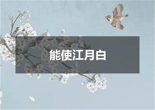 能使江月白