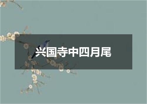 兴国寺中四月尾