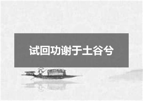 试回功谢于土谷兮