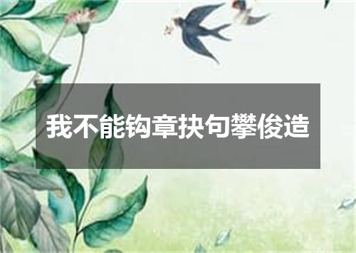 我不能钩章抉句攀俊造