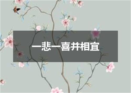 一悲一喜并相宜