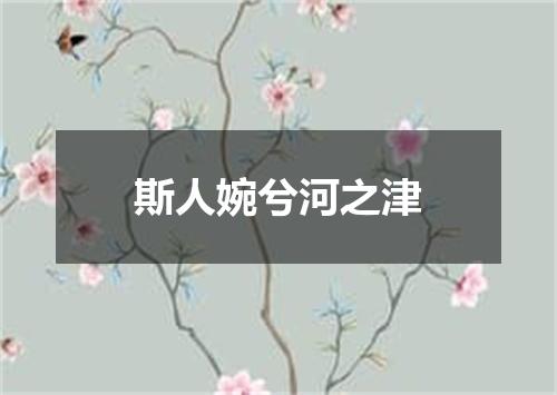 斯人婉兮河之津