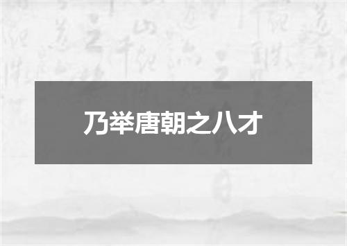 乃举唐朝之八才