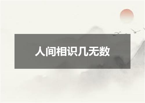 人间相识几无数