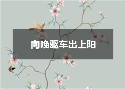 向晚驱车出上阳