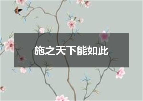 施之天下能如此