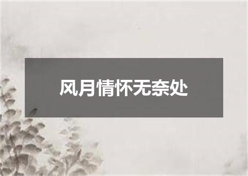 风月情怀无奈处