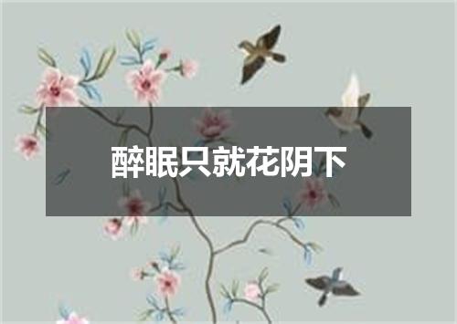 醉眠只就花阴下