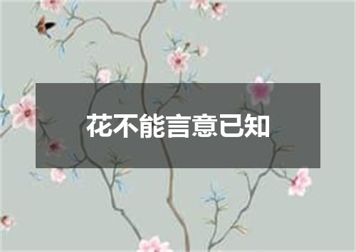 花不能言意已知