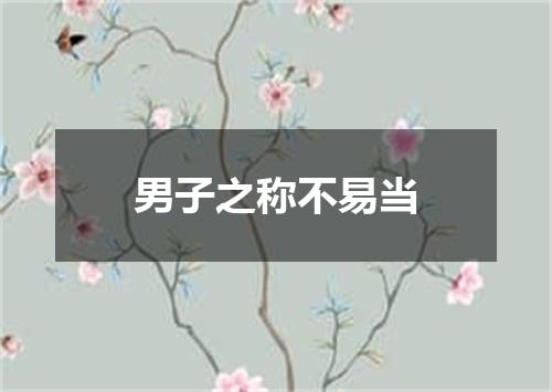 男子之称不易当