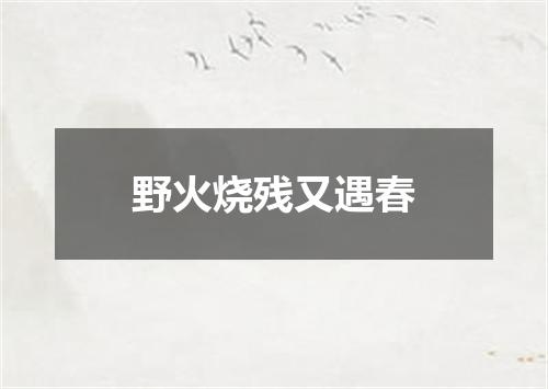 野火烧残又遇春