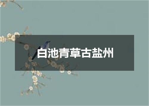 白池青草古盐州