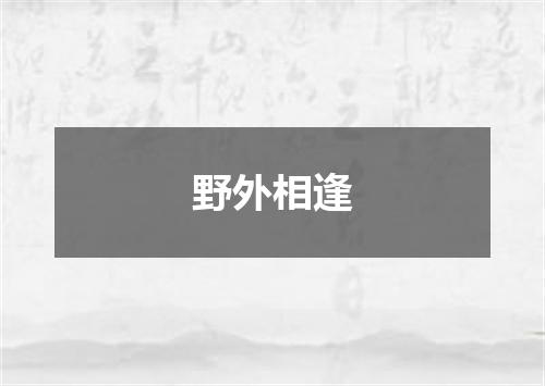 野外相逢