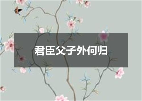 君臣父子外何归