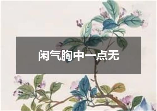 闲气胸中一点无