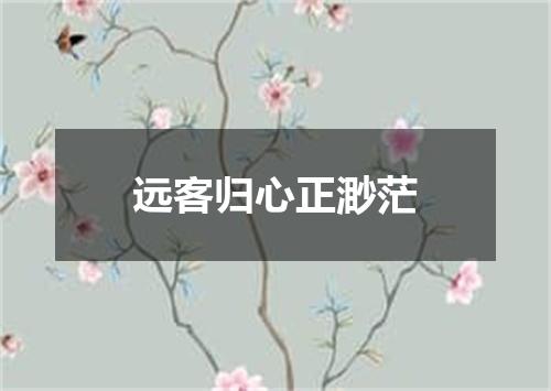 远客归心正渺茫