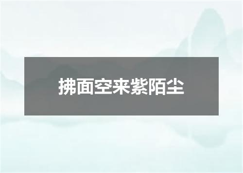 拂面空来紫陌尘