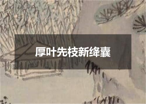 厚叶先枝新绛囊