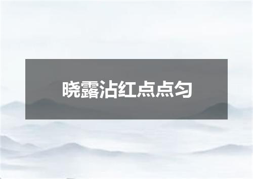 晓露沾红点点匀