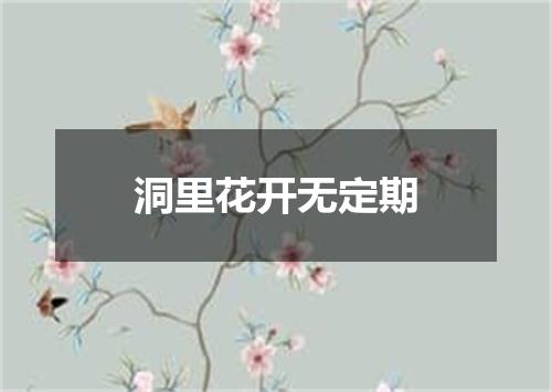 洞里花开无定期