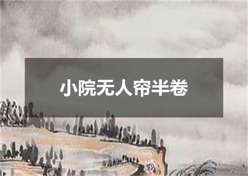 小院无人帘半卷