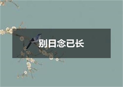 别日念已长