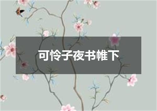 可怜子夜书帷下