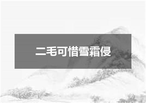 二毛可惜雪霜侵