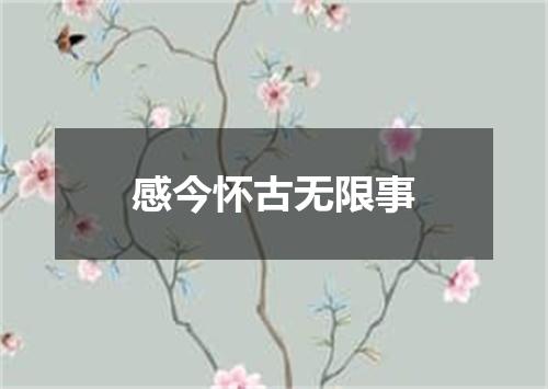 感今怀古无限事